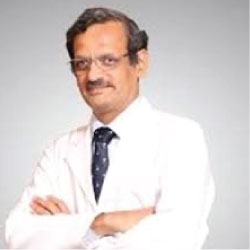 Prof. Nitin Chaubal	